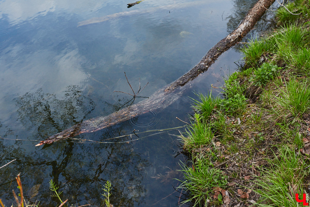 Только по официальным данным во Владимире больше сотни прудов, при этом благоустроены всего несколько из них. На остальных в лучшем случае не очень грязно. «Ключ-Медиа» проинспектировал самые популярные водоемы областного центра и спросил у местных жителей и экспертов, чего им не хватает, чтобы стать новой визитной карточкой города.