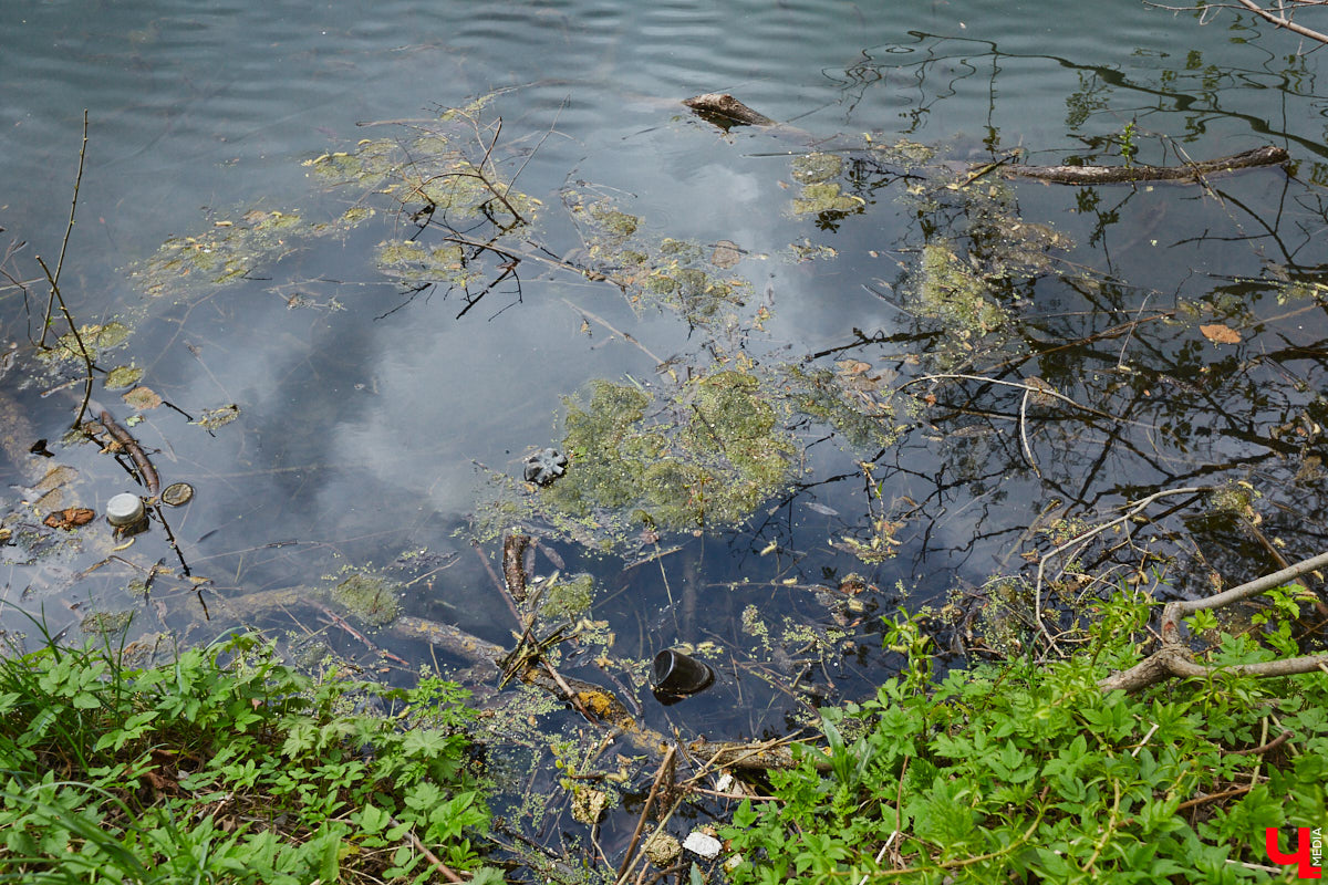 Только по официальным данным во Владимире больше сотни прудов, при этом благоустроены всего несколько из них. На остальных в лучшем случае не очень грязно. «Ключ-Медиа» проинспектировал самые популярные водоемы областного центра и спросил у местных жителей и экспертов, чего им не хватает, чтобы стать новой визитной карточкой города.