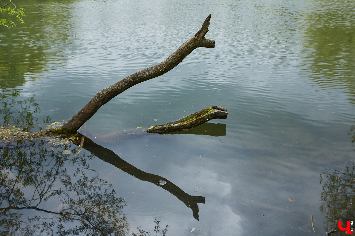 Только по официальным данным во Владимире больше сотни прудов, при этом благоустроены всего несколько из них. На остальных в лучшем случае не очень грязно. «Ключ-Медиа» проинспектировал самые популярные водоемы областного центра и спросил у местных жителей и экспертов, чего им не хватает, чтобы стать новой визитной карточкой города.