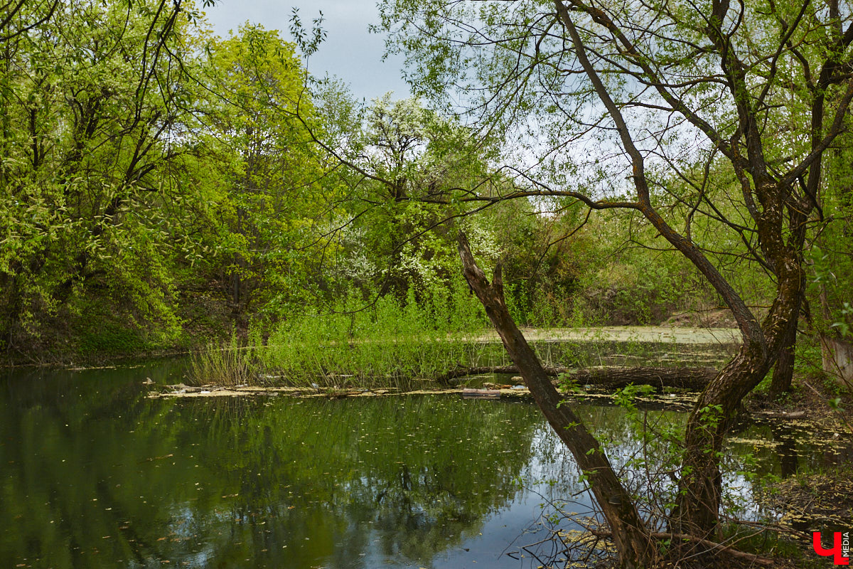 Только по официальным данным во Владимире больше сотни прудов, при этом благоустроены всего несколько из них. На остальных в лучшем случае не очень грязно. «Ключ-Медиа» проинспектировал самые популярные водоемы областного центра и спросил у местных жителей и экспертов, чего им не хватает, чтобы стать новой визитной карточкой города.