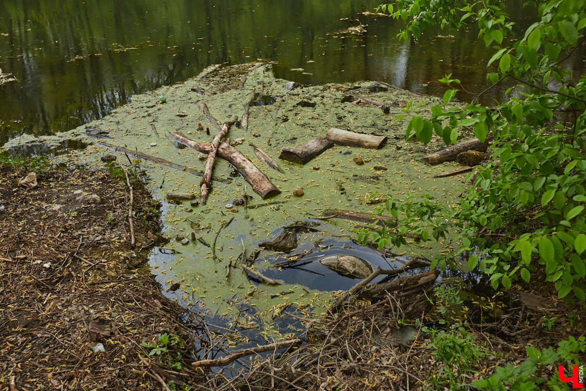 Только по официальным данным во Владимире больше сотни прудов, при этом благоустроены всего несколько из них. На остальных в лучшем случае не очень грязно. «Ключ-Медиа» проинспектировал самые популярные водоемы областного центра и спросил у местных жителей и экспертов, чего им не хватает, чтобы стать новой визитной карточкой города.