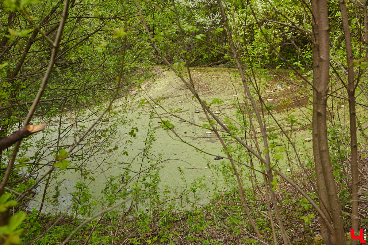 Только по официальным данным во Владимире больше сотни прудов, при этом благоустроены всего несколько из них. На остальных в лучшем случае не очень грязно. «Ключ-Медиа» проинспектировал самые популярные водоемы областного центра и спросил у местных жителей и экспертов, чего им не хватает, чтобы стать новой визитной карточкой города.