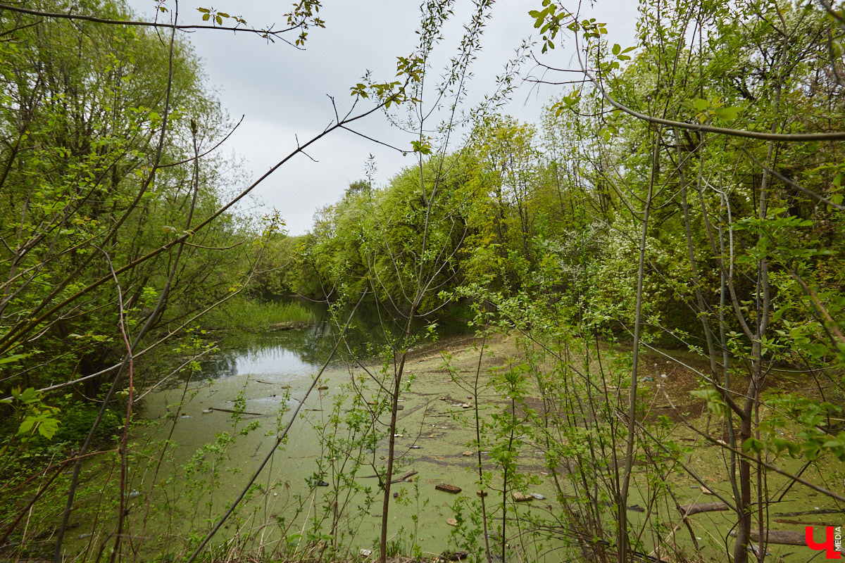 Только по официальным данным во Владимире больше сотни прудов, при этом благоустроены всего несколько из них. На остальных в лучшем случае не очень грязно. «Ключ-Медиа» проинспектировал самые популярные водоемы областного центра и спросил у местных жителей и экспертов, чего им не хватает, чтобы стать новой визитной карточкой города.