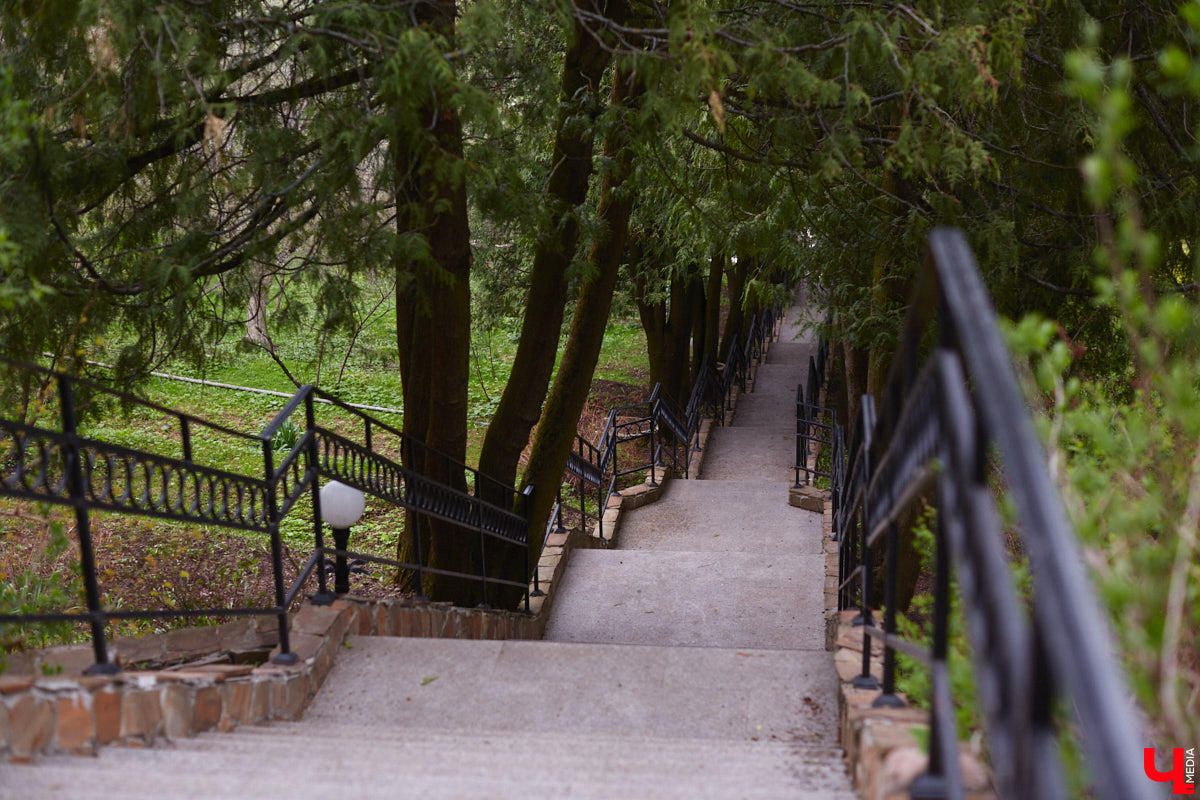 В этом году Патриарший сад отмечает свой юбилей. В мае цветущему оазису исполняется 75 лет. Сегодня уникальное место в самом центре Владимира ежедневно принимает десятки гостей. Специально для «Ключ-Медиа» экскурсию по его территории провела сотрудница, которая знает тут каждое дерево и каждый цветок.