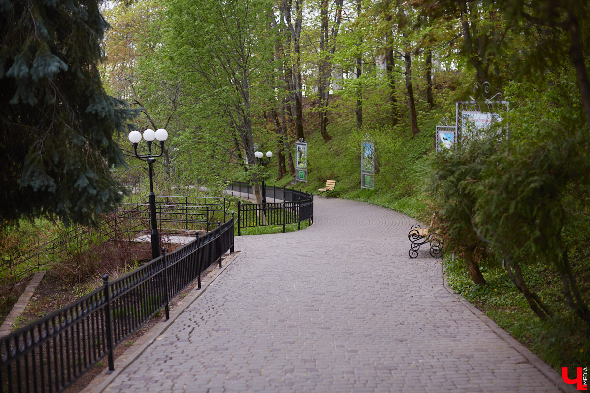 В этом году Патриарший сад отмечает свой юбилей. В мае цветущему оазису исполняется 75 лет. Сегодня уникальное место в самом центре Владимира ежедневно принимает десятки гостей. Специально для «Ключ-Медиа» экскурсию по его территории провела сотрудница, которая знает тут каждое дерево и каждый цветок.