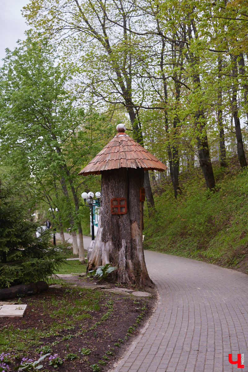 В этом году Патриарший сад отмечает свой юбилей. В мае цветущему оазису исполняется 75 лет. Сегодня уникальное место в самом центре Владимира ежедневно принимает десятки гостей. Специально для «Ключ-Медиа» экскурсию по его территории провела сотрудница, которая знает тут каждое дерево и каждый цветок.