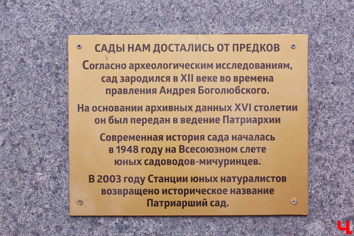 В этом году Патриарший сад отмечает свой юбилей. В мае цветущему оазису исполняется 75 лет. Сегодня уникальное место в самом центре Владимира ежедневно принимает десятки гостей. Специально для «Ключ-Медиа» экскурсию по его территории провела сотрудница, которая знает тут каждое дерево и каждый цветок.