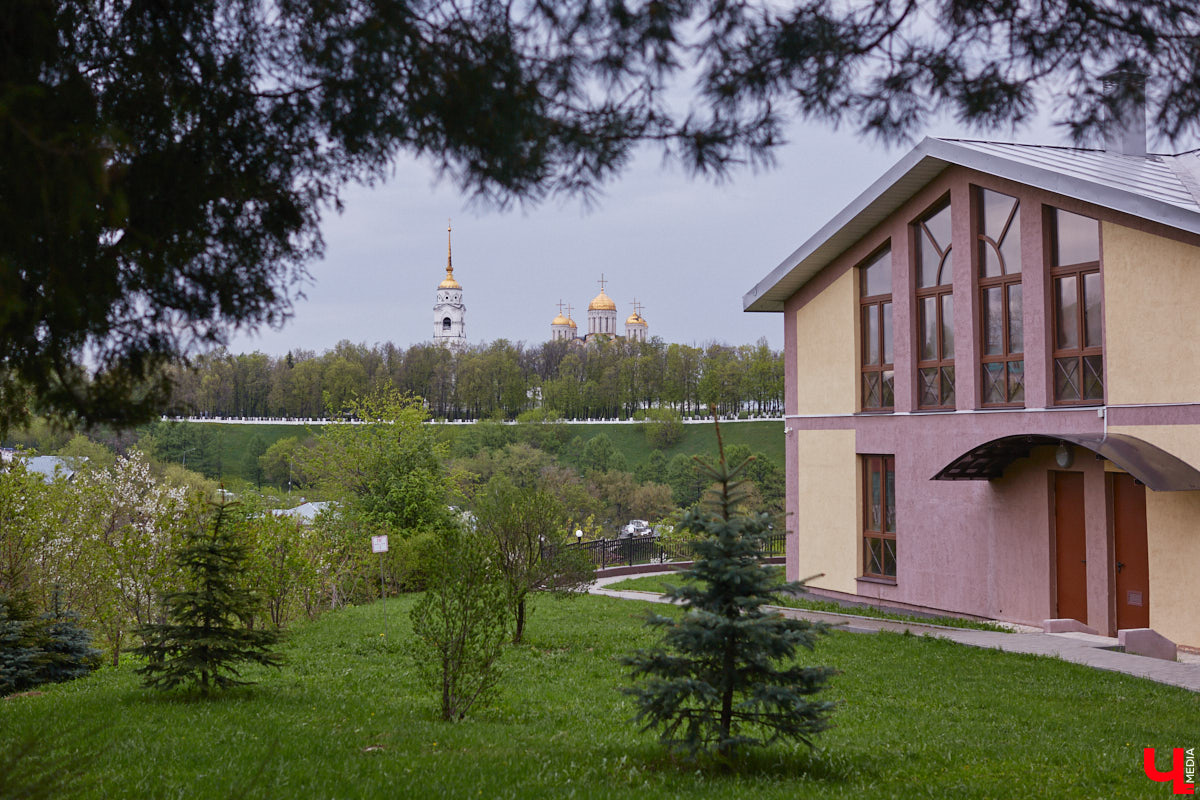 В этом году Патриарший сад отмечает свой юбилей. В мае цветущему оазису исполняется 75 лет. Сегодня уникальное место в самом центре Владимира ежедневно принимает десятки гостей. Специально для «Ключ-Медиа» экскурсию по его территории провела сотрудница, которая знает тут каждое дерево и каждый цветок.