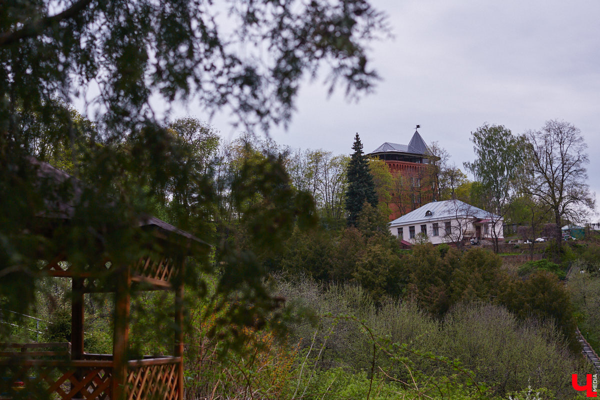В этом году Патриарший сад отмечает свой юбилей. В мае цветущему оазису исполняется 75 лет. Сегодня уникальное место в самом центре Владимира ежедневно принимает десятки гостей. Специально для «Ключ-Медиа» экскурсию по его территории провела сотрудница, которая знает тут каждое дерево и каждый цветок.