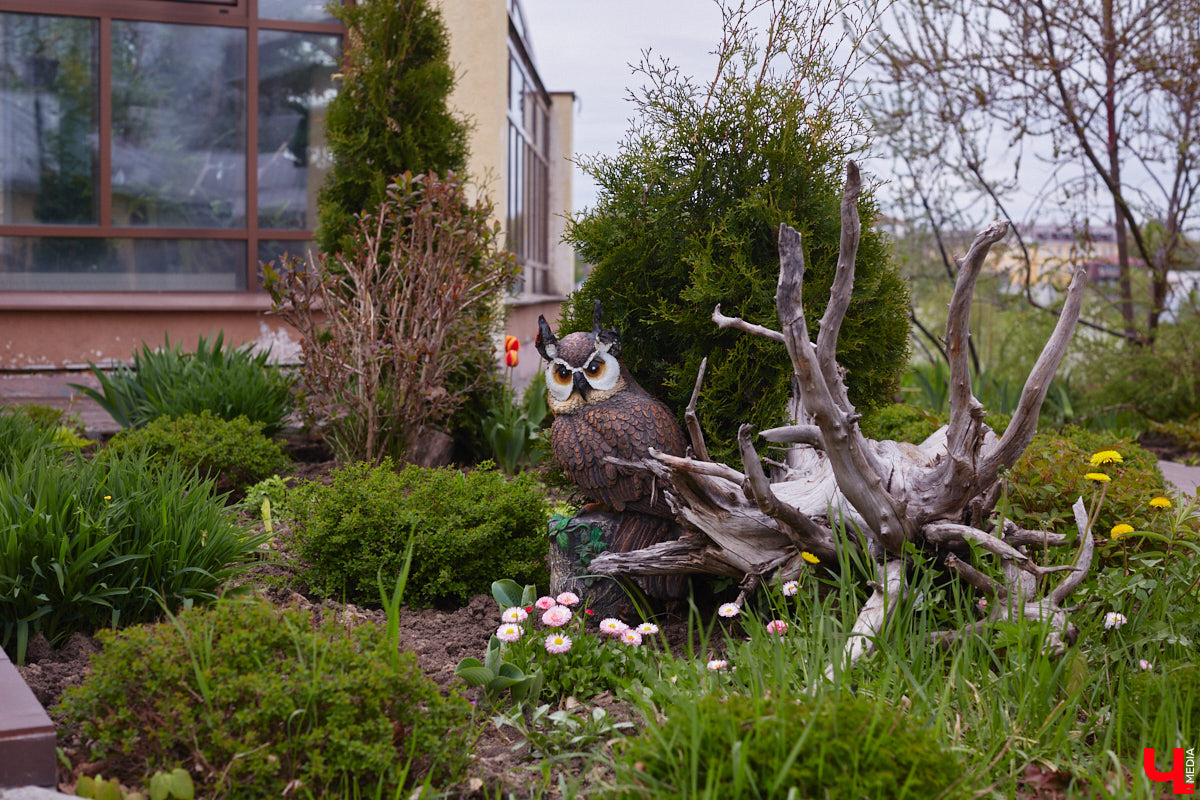 В этом году Патриарший сад отмечает свой юбилей. В мае цветущему оазису исполняется 75 лет. Сегодня уникальное место в самом центре Владимира ежедневно принимает десятки гостей. Специально для «Ключ-Медиа» экскурсию по его территории провела сотрудница, которая знает тут каждое дерево и каждый цветок.