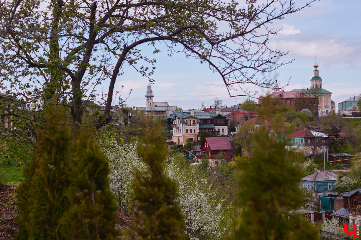 В этом году Патриарший сад отмечает свой юбилей. В мае цветущему оазису исполняется 75 лет. Сегодня уникальное место в самом центре Владимира ежедневно принимает десятки гостей. Специально для «Ключ-Медиа» экскурсию по его территории провела сотрудница, которая знает тут каждое дерево и каждый цветок.
