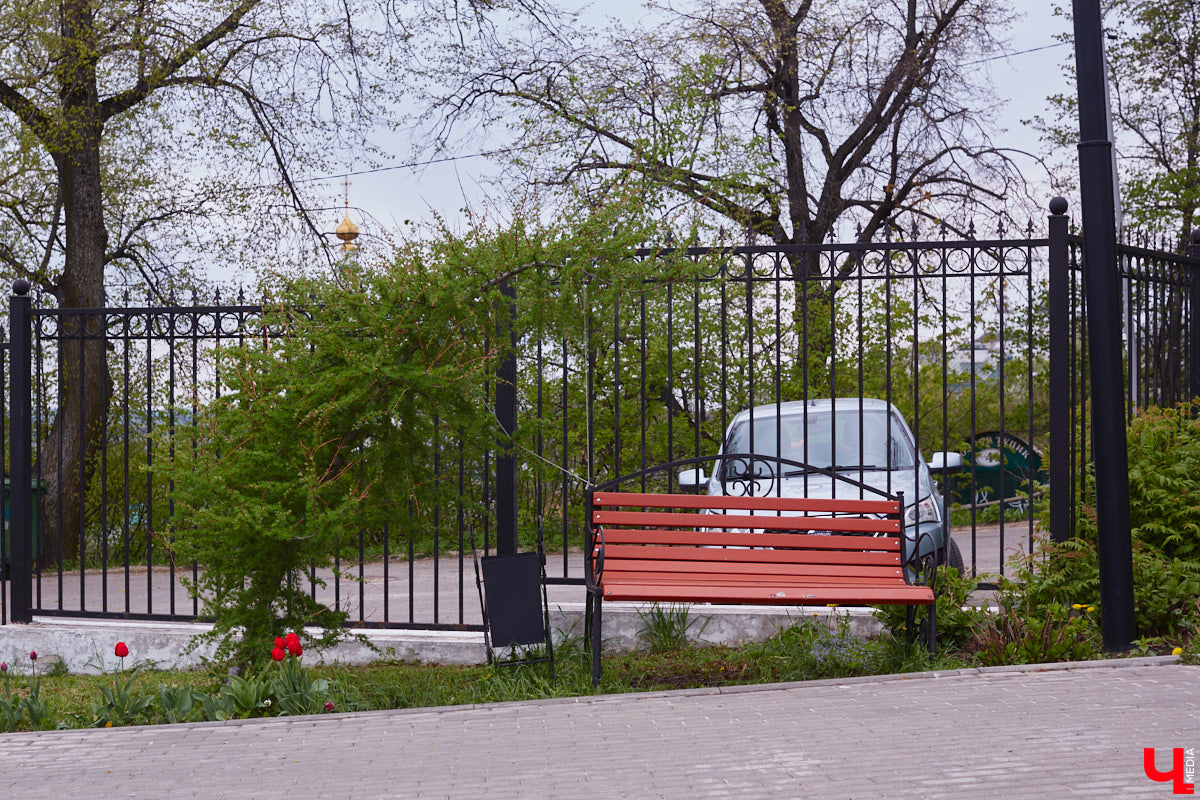 В этом году Патриарший сад отмечает свой юбилей. В мае цветущему оазису исполняется 75 лет. Сегодня уникальное место в самом центре Владимира ежедневно принимает десятки гостей. Специально для «Ключ-Медиа» экскурсию по его территории провела сотрудница, которая знает тут каждое дерево и каждый цветок.