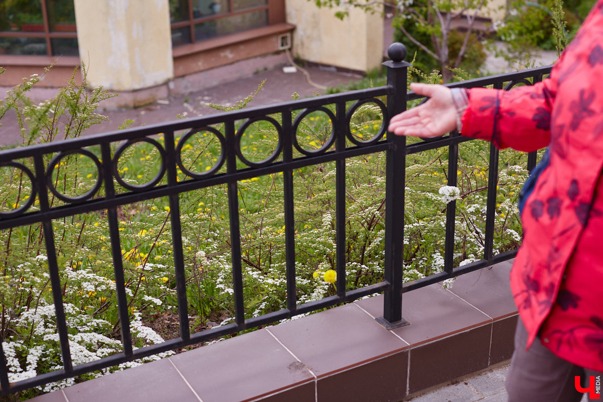 В этом году Патриарший сад отмечает свой юбилей. В мае цветущему оазису исполняется 75 лет. Сегодня уникальное место в самом центре Владимира ежедневно принимает десятки гостей. Специально для «Ключ-Медиа» экскурсию по его территории провела сотрудница, которая знает тут каждое дерево и каждый цветок.