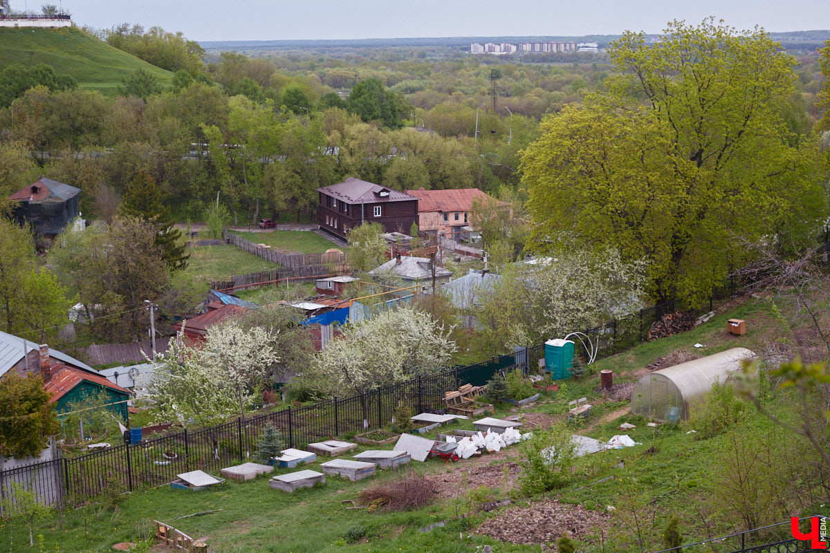 В этом году Патриарший сад отмечает свой юбилей. В мае цветущему оазису исполняется 75 лет. Сегодня уникальное место в самом центре Владимира ежедневно принимает десятки гостей. Специально для «Ключ-Медиа» экскурсию по его территории провела сотрудница, которая знает тут каждое дерево и каждый цветок.