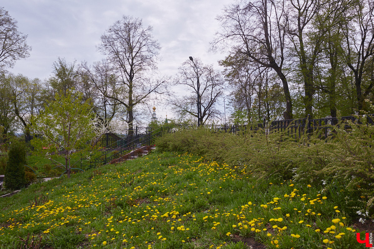 В этом году Патриарший сад отмечает свой юбилей. В мае цветущему оазису исполняется 75 лет. Сегодня уникальное место в самом центре Владимира ежедневно принимает десятки гостей. Специально для «Ключ-Медиа» экскурсию по его территории провела сотрудница, которая знает тут каждое дерево и каждый цветок.