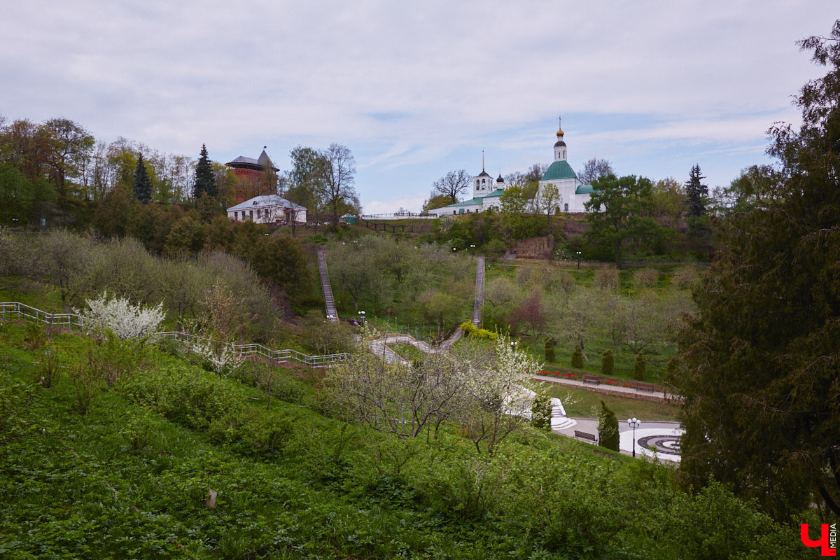 В этом году Патриарший сад отмечает свой юбилей. В мае цветущему оазису исполняется 75 лет. Сегодня уникальное место в самом центре Владимира ежедневно принимает десятки гостей. Специально для «Ключ-Медиа» экскурсию по его территории провела сотрудница, которая знает тут каждое дерево и каждый цветок.