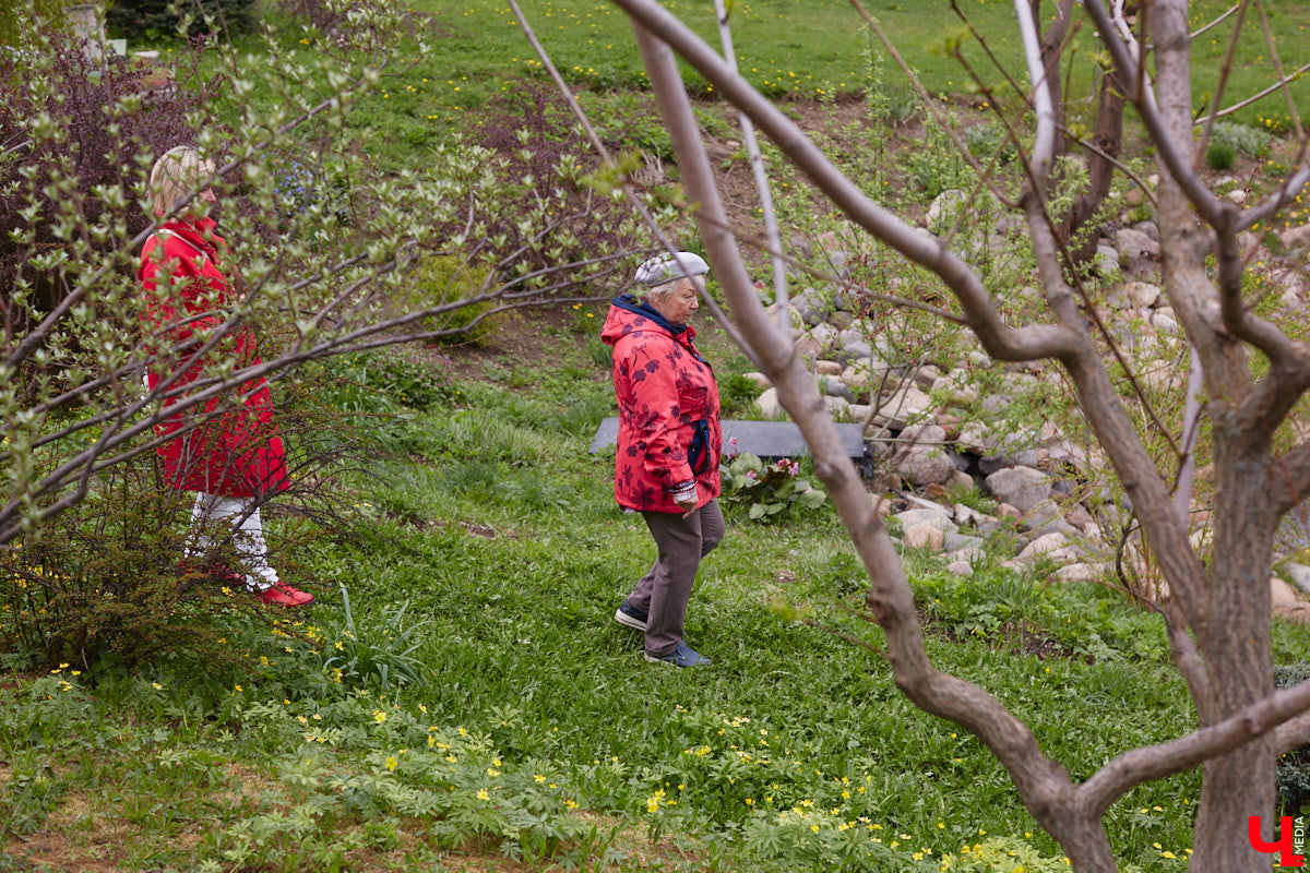 В этом году Патриарший сад отмечает свой юбилей. В мае цветущему оазису исполняется 75 лет. Сегодня уникальное место в самом центре Владимира ежедневно принимает десятки гостей. Специально для «Ключ-Медиа» экскурсию по его территории провела сотрудница, которая знает тут каждое дерево и каждый цветок.