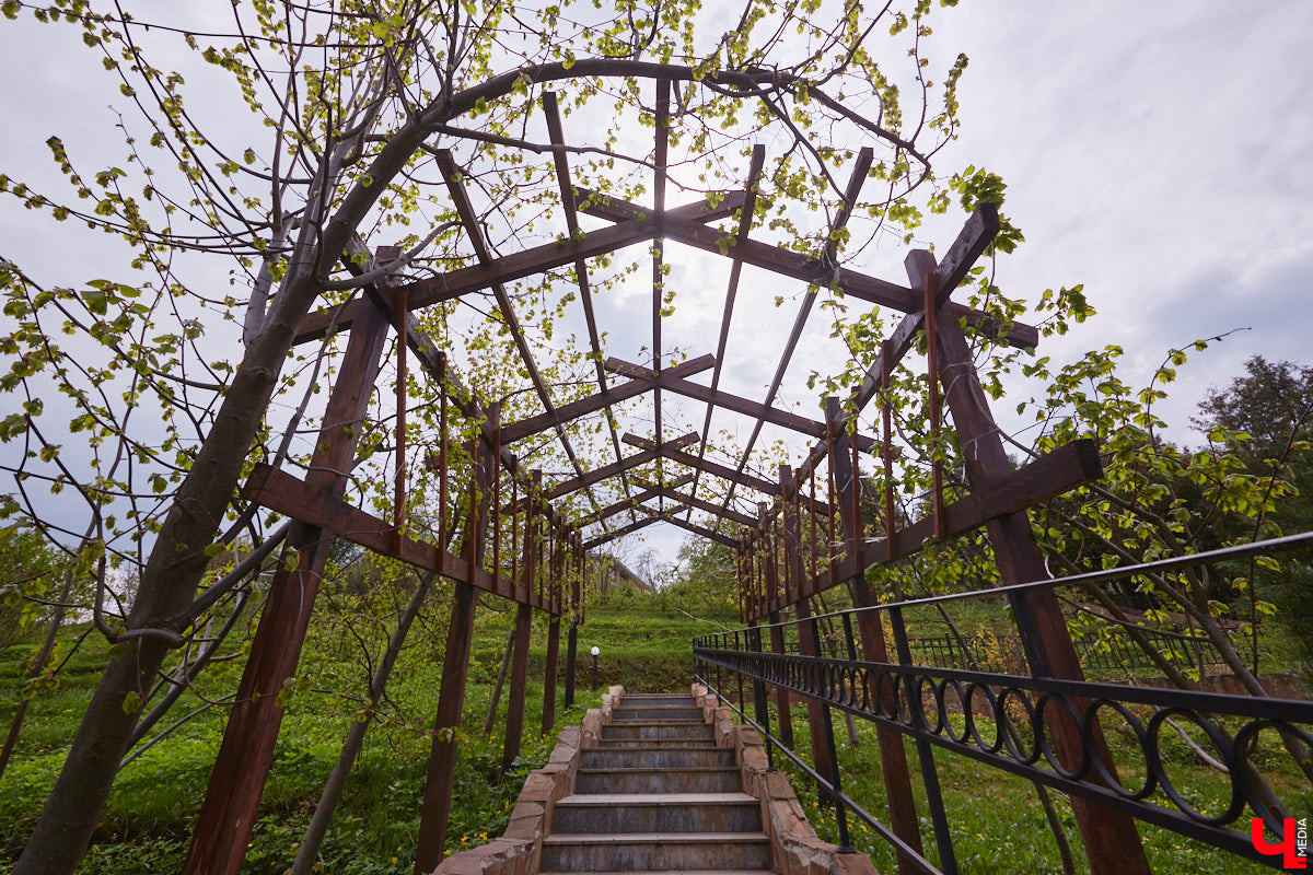 В этом году Патриарший сад отмечает свой юбилей. В мае цветущему оазису исполняется 75 лет. Сегодня уникальное место в самом центре Владимира ежедневно принимает десятки гостей. Специально для «Ключ-Медиа» экскурсию по его территории провела сотрудница, которая знает тут каждое дерево и каждый цветок.