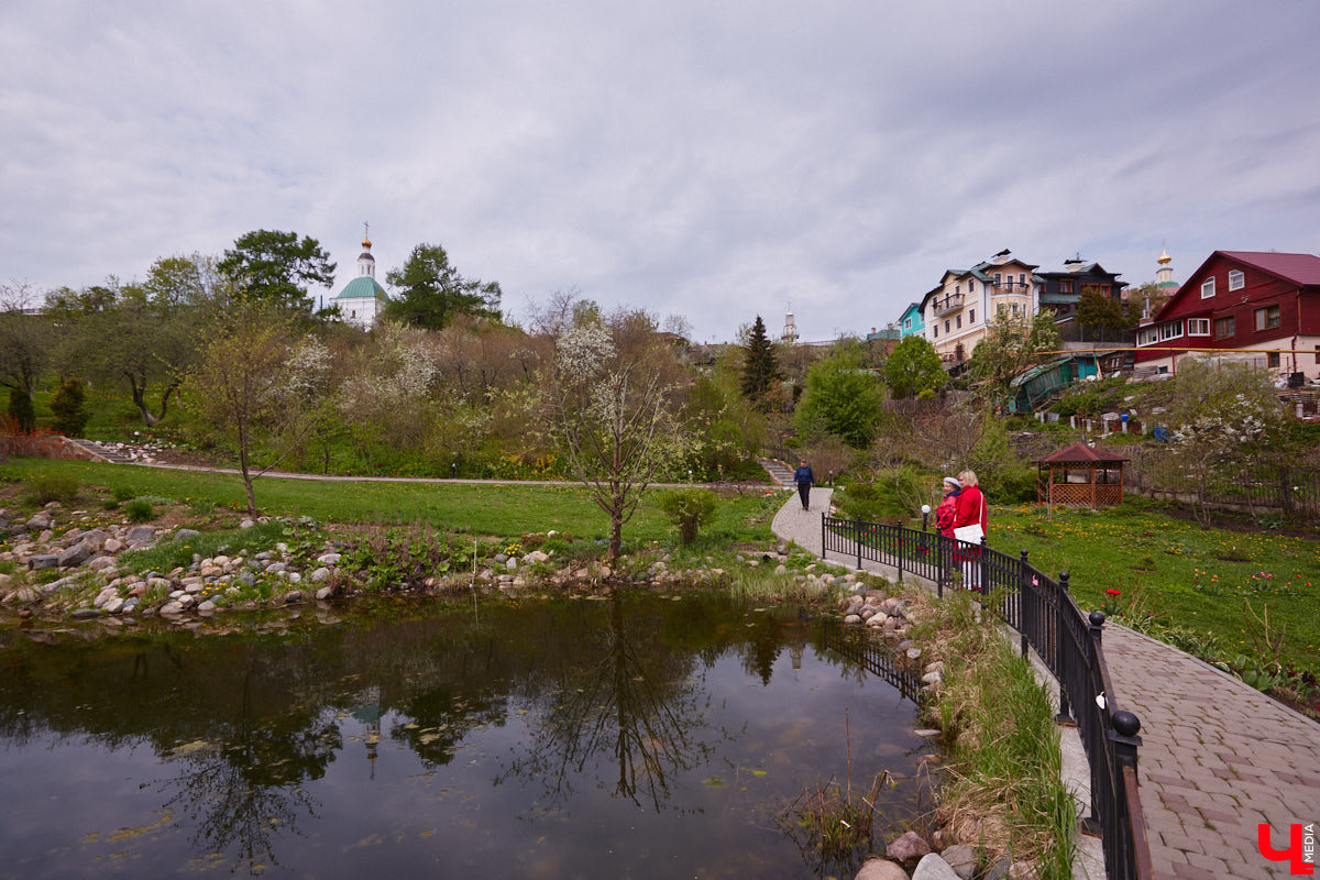 В этом году Патриарший сад отмечает свой юбилей. В мае цветущему оазису исполняется 75 лет. Сегодня уникальное место в самом центре Владимира ежедневно принимает десятки гостей. Специально для «Ключ-Медиа» экскурсию по его территории провела сотрудница, которая знает тут каждое дерево и каждый цветок.