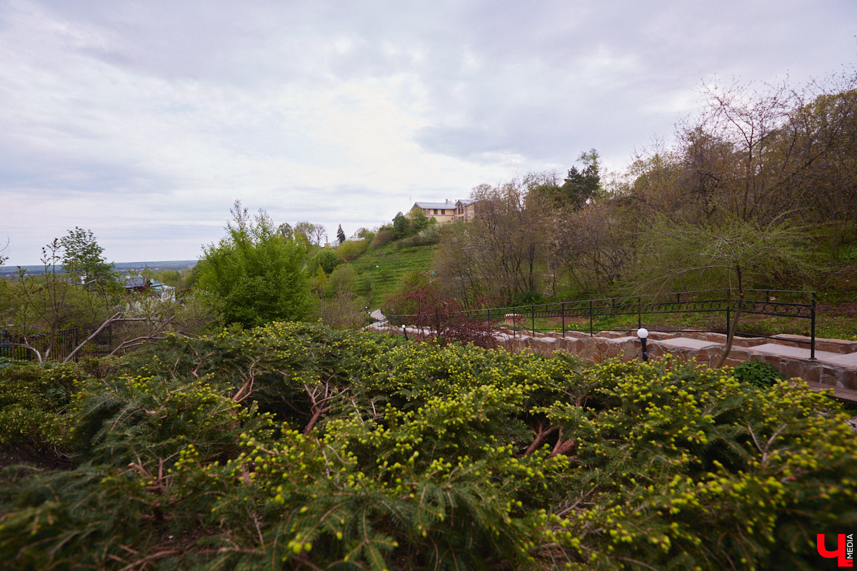 В этом году Патриарший сад отмечает свой юбилей. В мае цветущему оазису исполняется 75 лет. Сегодня уникальное место в самом центре Владимира ежедневно принимает десятки гостей. Специально для «Ключ-Медиа» экскурсию по его территории провела сотрудница, которая знает тут каждое дерево и каждый цветок.