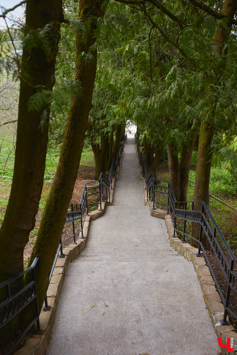 В этом году Патриарший сад отмечает свой юбилей. В мае цветущему оазису исполняется 75 лет. Сегодня уникальное место в самом центре Владимира ежедневно принимает десятки гостей. Специально для «Ключ-Медиа» экскурсию по его территории провела сотрудница, которая знает тут каждое дерево и каждый цветок.