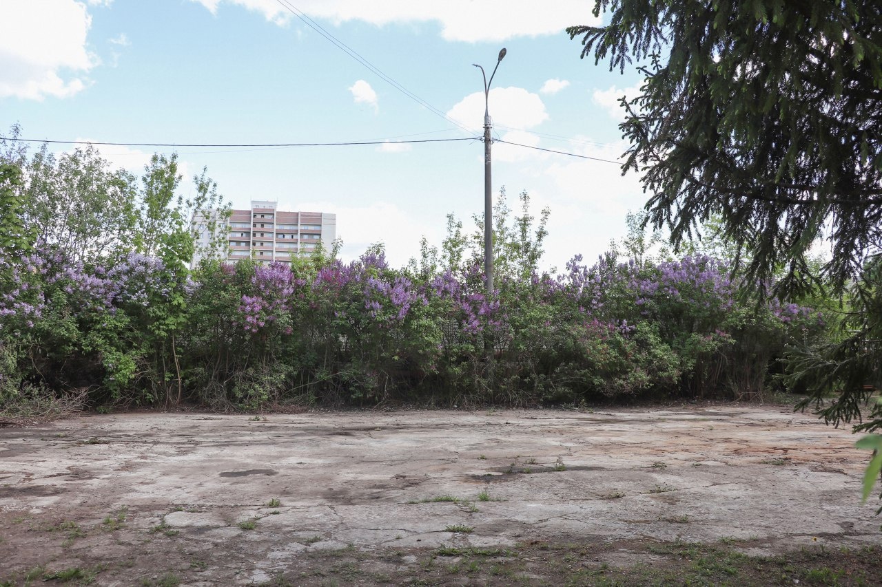 Кадры заброшенной пожарной техники вызвали противоречивые эмоции у подписчиков владимирских «Подслушек». Неужели в областной столице действительно есть целое кладбище никому не нужных автомобилей? И где же оно тогда находится? «Ключ-Медиа» нашел ответы на эти вопросы.