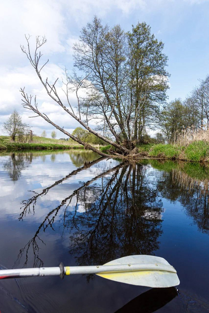 3 и 4 июня на берегу Содышки пройдет фестиваль водного спортивного отдыха «Параллель 56». Владимирцы смогут не только понаблюдать за красивым зрелищем на зеркальной глади, но и принять участие в заплывах на байдарках или сапбордах.