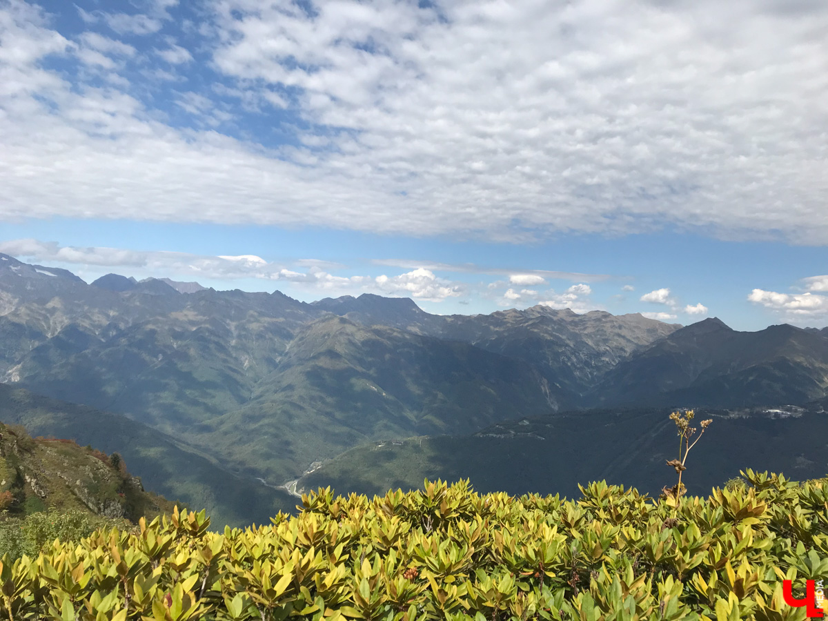 Сколько владимирцы готовы потратить на собственный отпуск? SuperJob.ru уверяет, что не более 49 тысяч в неделю. Можно ли отдохнуть человеку за такие деньги на курорте? Оказывается, вариантов не много, но все-таки они есть. Причем даже заграничные.