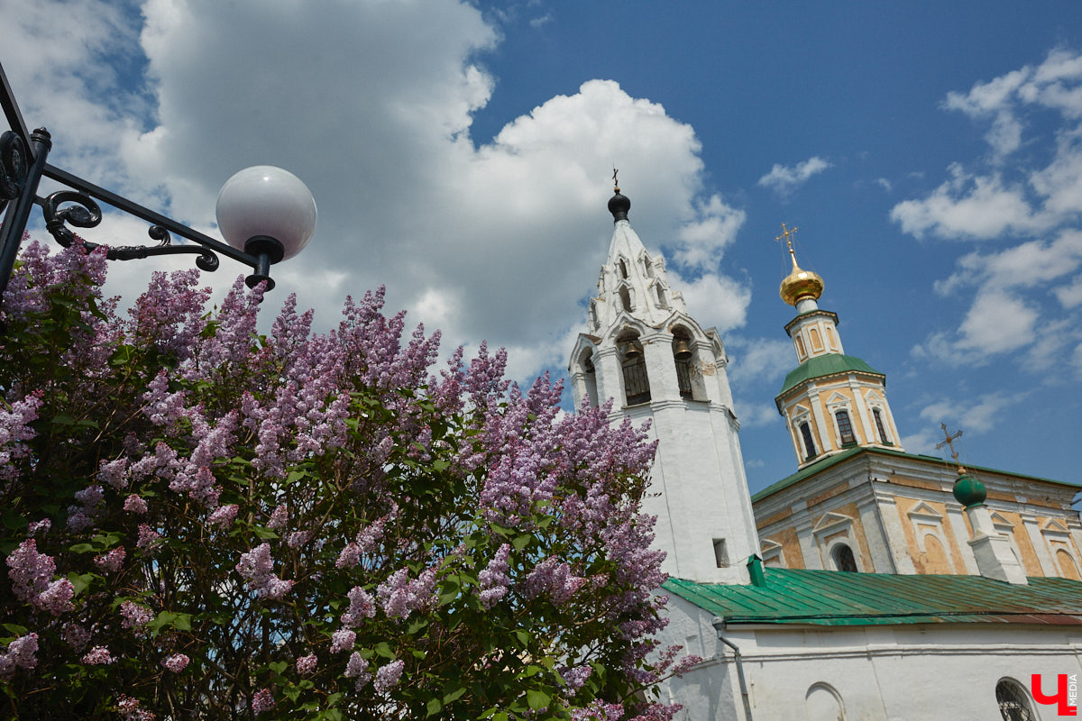 Что может быть лучше для красивых кадров, чем цветущие в мае деревья и кустарники на фоне? Только когда вся эта буйная палитра красок находится сразу в одном месте! Мы собрали для вас пять самых привлекательных локаций во Владимире, где можно не только полюбоваться природой, но и устроить нежный весенний фотосет на память.
