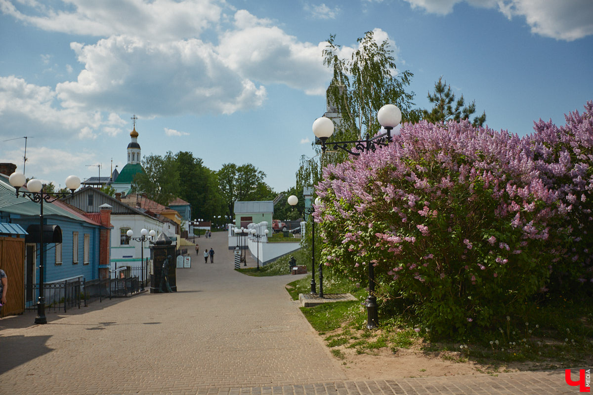 Что может быть лучше для красивых кадров, чем цветущие в мае деревья и кустарники на фоне? Только когда вся эта буйная палитра красок находится сразу в одном месте! Мы собрали для вас пять самых привлекательных локаций во Владимире, где можно не только полюбоваться природой, но и устроить нежный весенний фотосет на память.