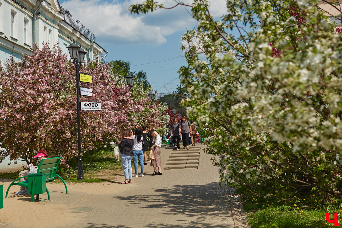 Что может быть лучше для красивых кадров, чем цветущие в мае деревья и кустарники на фоне? Только когда вся эта буйная палитра красок находится сразу в одном месте! Мы собрали для вас пять самых привлекательных локаций во Владимире, где можно не только полюбоваться природой, но и устроить нежный весенний фотосет на память.