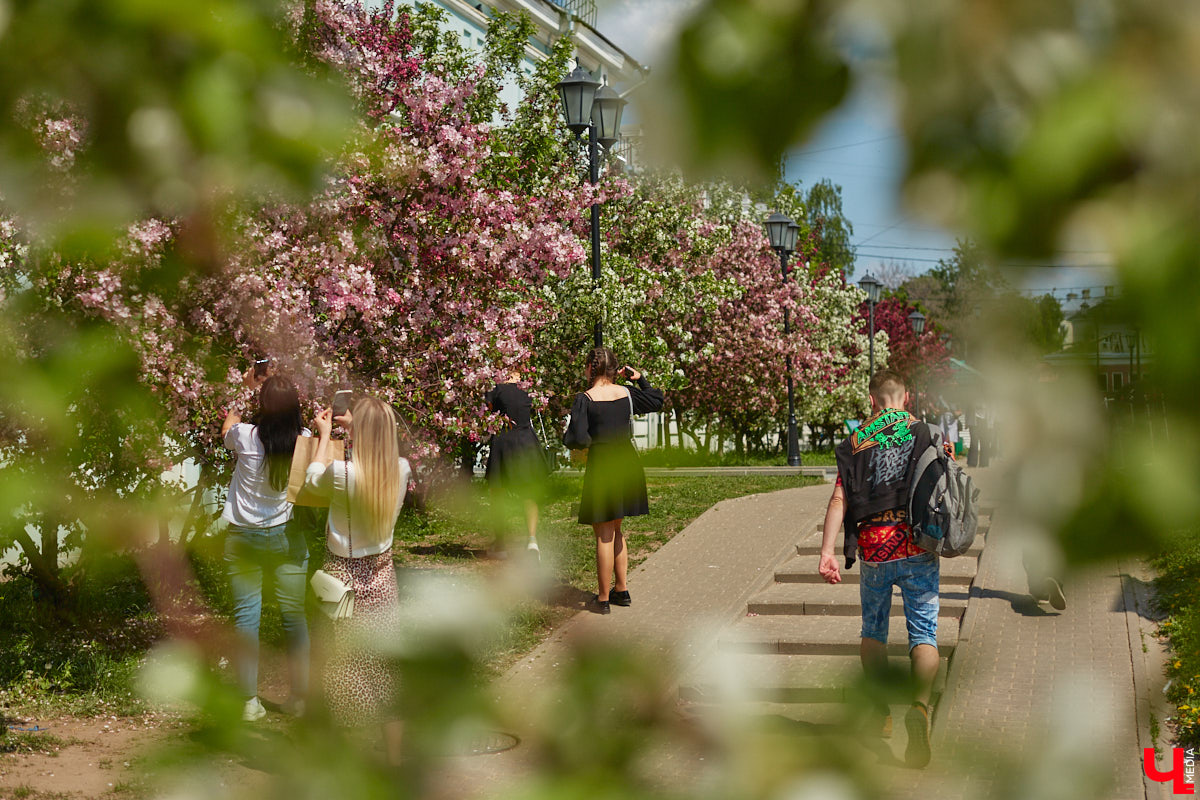 Что может быть лучше для красивых кадров, чем цветущие в мае деревья и кустарники на фоне? Только когда вся эта буйная палитра красок находится сразу в одном месте! Мы собрали для вас пять самых привлекательных локаций во Владимире, где можно не только полюбоваться природой, но и устроить нежный весенний фотосет на память.