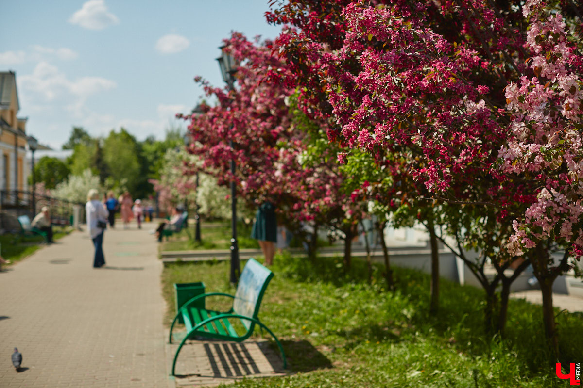 Что может быть лучше для красивых кадров, чем цветущие в мае деревья и кустарники на фоне? Только когда вся эта буйная палитра красок находится сразу в одном месте! Мы собрали для вас пять самых привлекательных локаций во Владимире, где можно не только полюбоваться природой, но и устроить нежный весенний фотосет на память.