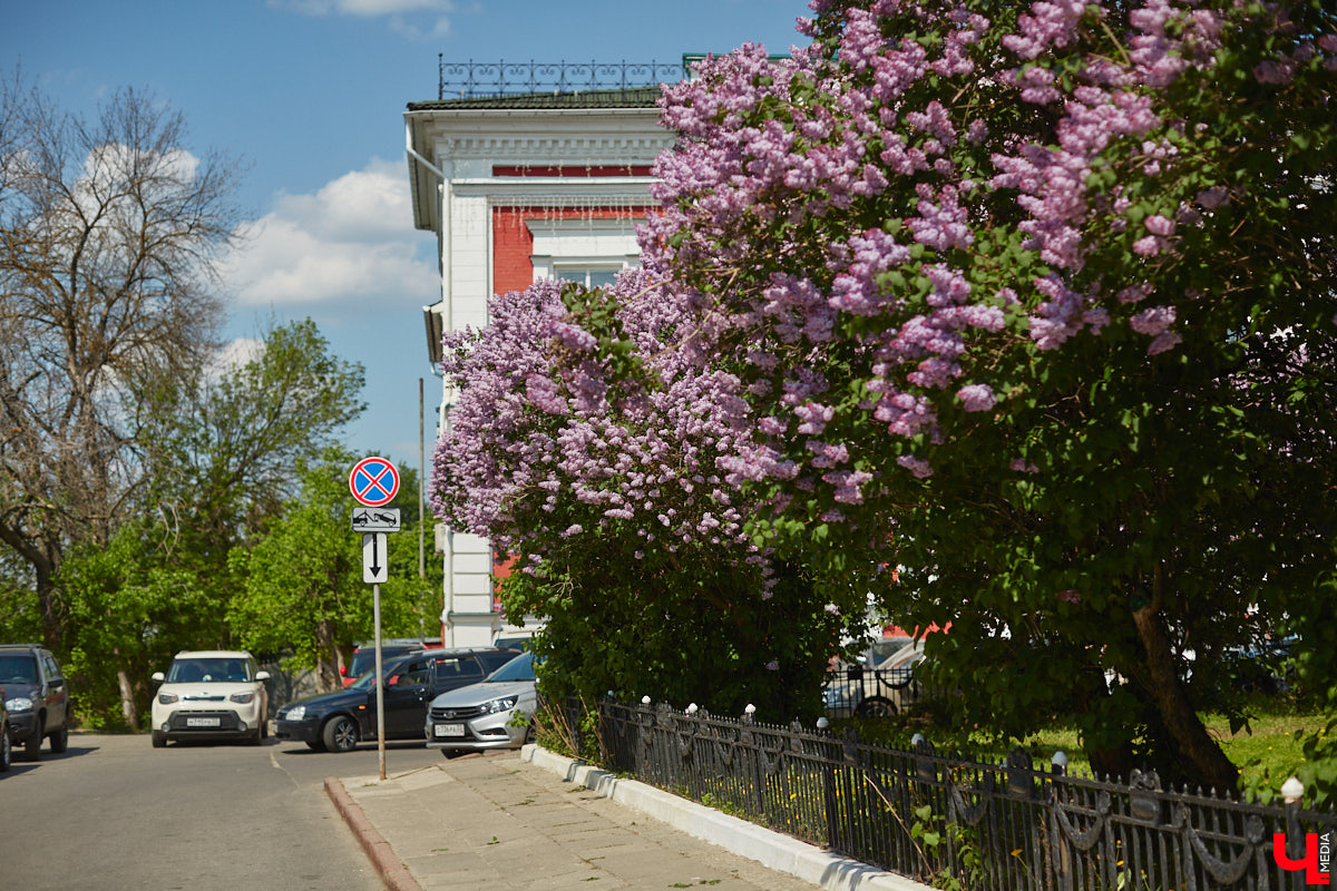 Что может быть лучше для красивых кадров, чем цветущие в мае деревья и кустарники на фоне? Только когда вся эта буйная палитра красок находится сразу в одном месте! Мы собрали для вас пять самых привлекательных локаций во Владимире, где можно не только полюбоваться природой, но и устроить нежный весенний фотосет на память.