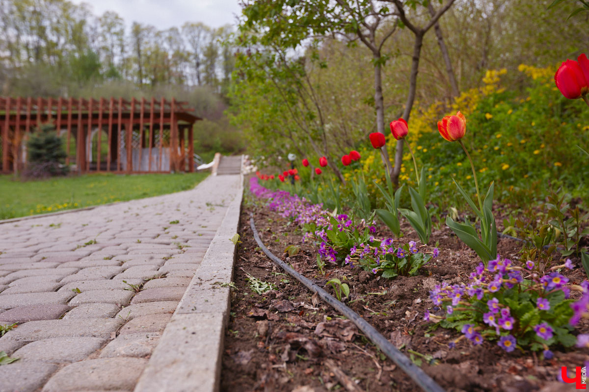 Что может быть лучше для красивых кадров, чем цветущие в мае деревья и кустарники на фоне? Только когда вся эта буйная палитра красок находится сразу в одном месте! Мы собрали для вас пять самых привлекательных локаций во Владимире, где можно не только полюбоваться природой, но и устроить нежный весенний фотосет на память.