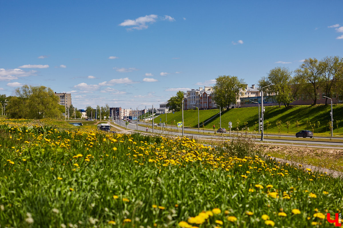 Что может быть лучше для красивых кадров, чем цветущие в мае деревья и кустарники на фоне? Только когда вся эта буйная палитра красок находится сразу в одном месте! Мы собрали для вас пять самых привлекательных локаций во Владимире, где можно не только полюбоваться природой, но и устроить нежный весенний фотосет на память.
