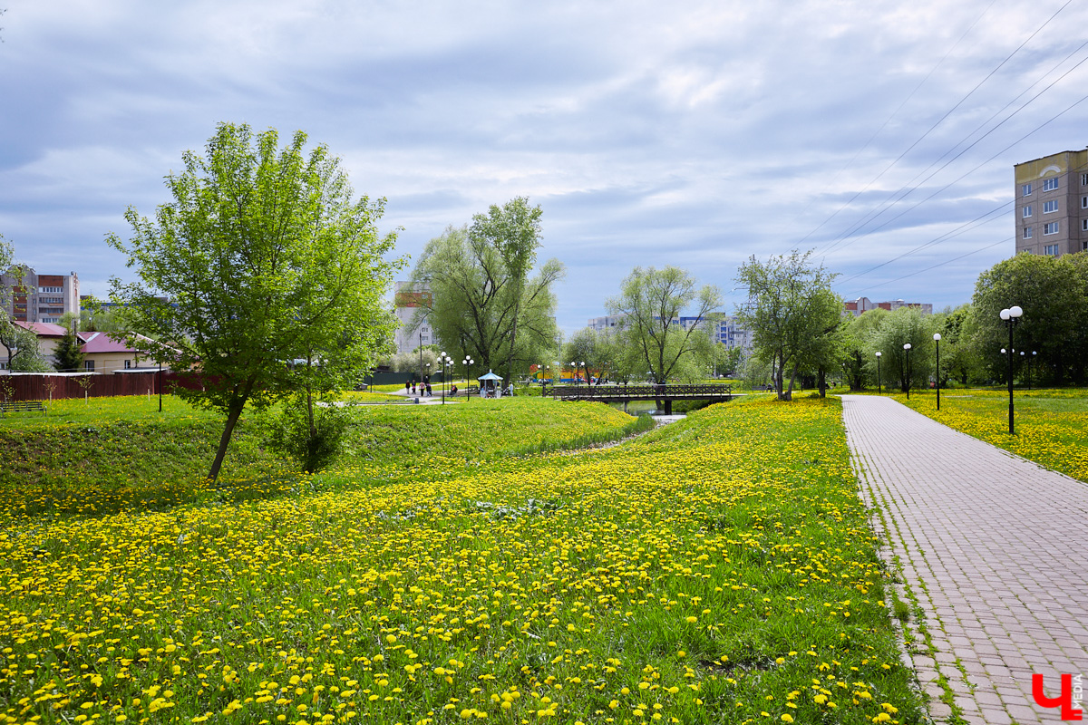 Что может быть лучше для красивых кадров, чем цветущие в мае деревья и кустарники на фоне? Только когда вся эта буйная палитра красок находится сразу в одном месте! Мы собрали для вас пять самых привлекательных локаций во Владимире, где можно не только полюбоваться природой, но и устроить нежный весенний фотосет на память.