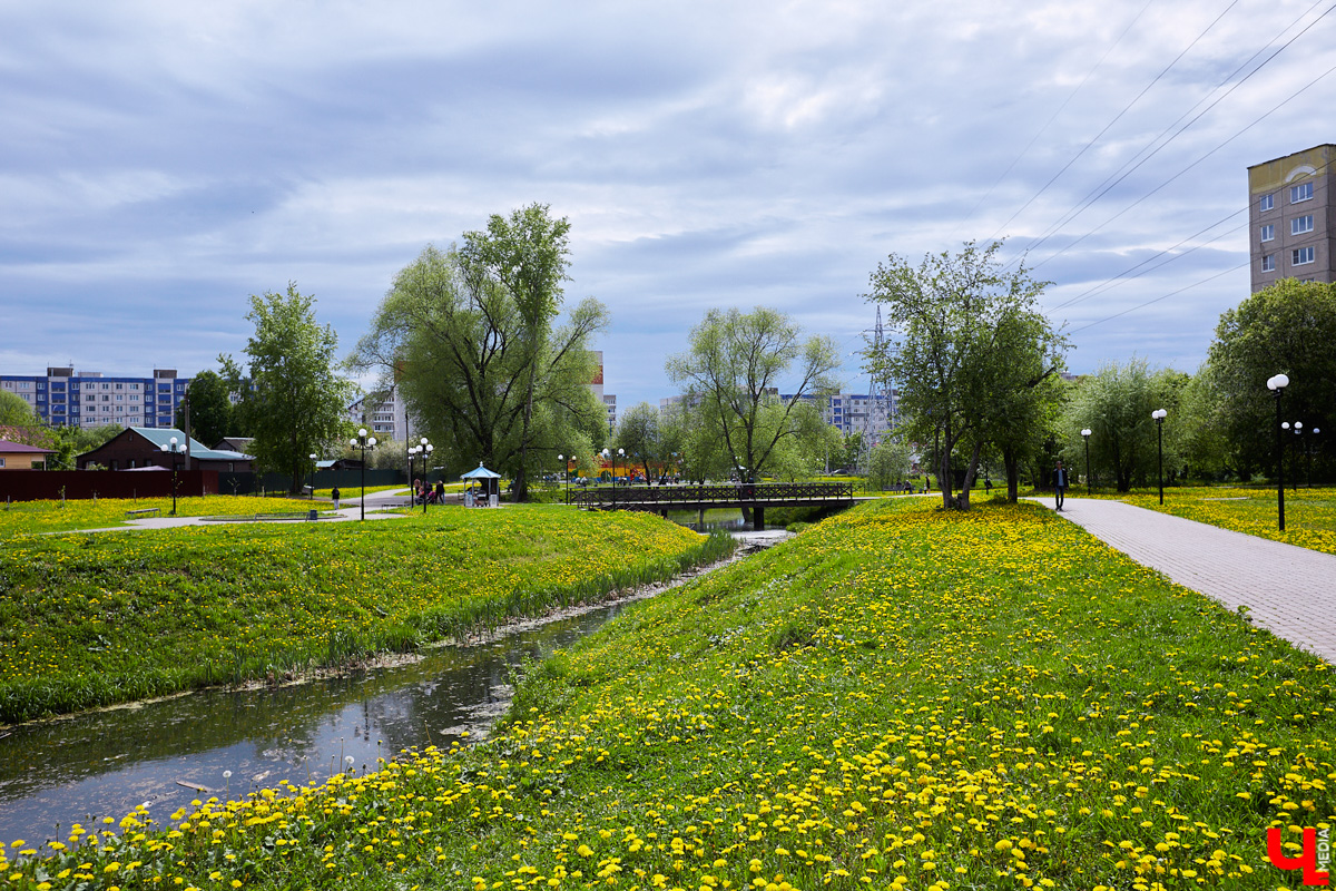 Что может быть лучше для красивых кадров, чем цветущие в мае деревья и кустарники на фоне? Только когда вся эта буйная палитра красок находится сразу в одном месте! Мы собрали для вас пять самых привлекательных локаций во Владимире, где можно не только полюбоваться природой, но и устроить нежный весенний фотосет на память.