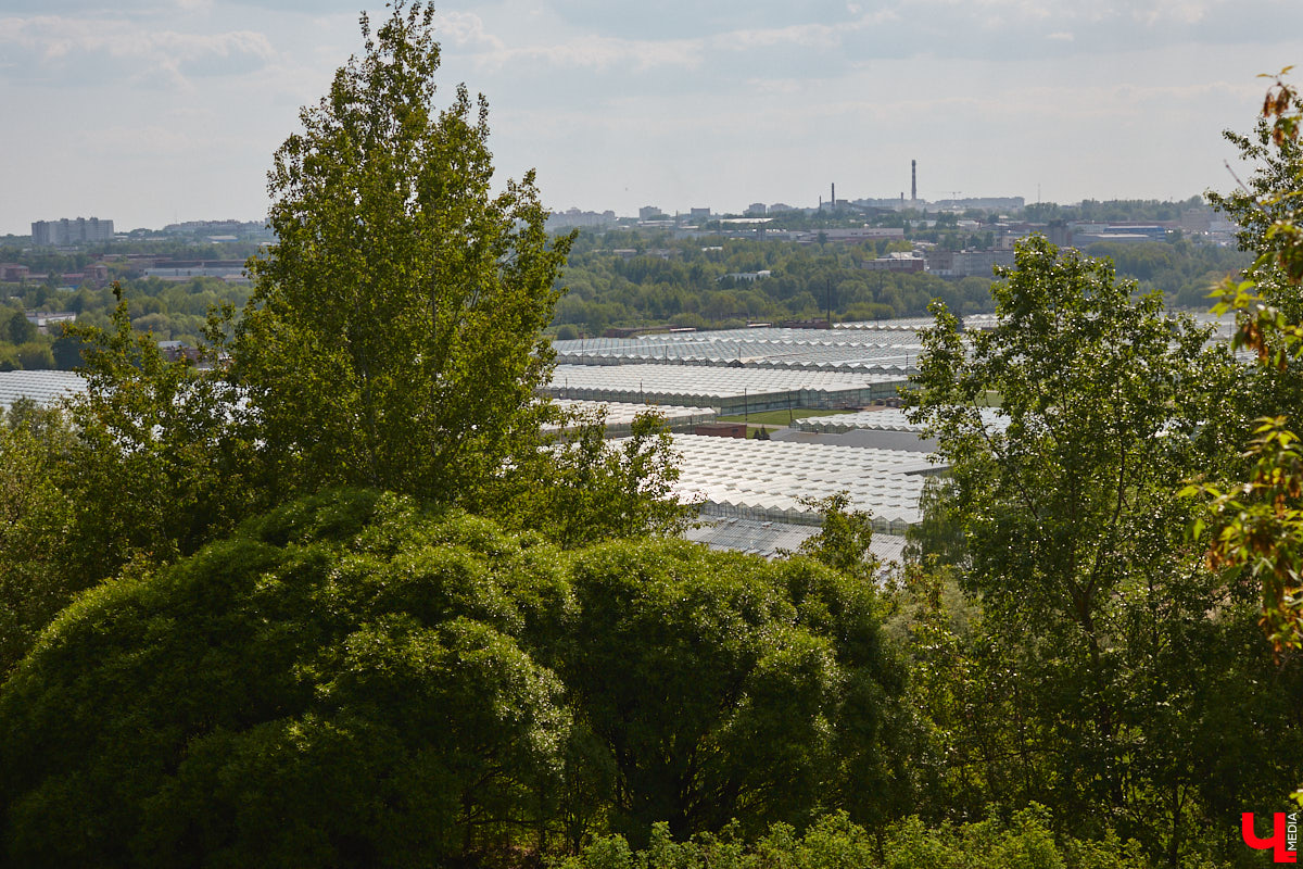 Вам давно приходилось подниматься по любой из владимирских лестниц или спускаться с нее? И как, все ступеньки на месте? К сожалению, большинство подобных конструкций на улицах города разрушается. Если не верите, тогда взгляните сами на наш антирейтинг.
