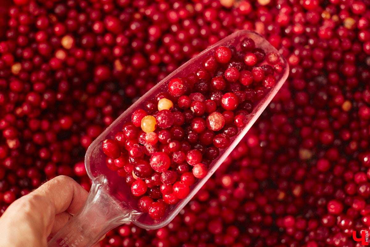 Кто-то ЗОЖ высмеивает, как группа «Ленинград», кто-то считает его ерундой и историей про отварную грудку. Но для некоторых правильное питание не тюрьма строгого режима, а яркий мир вкуса и разнообразия. Сидеть на ПП без чувства голода и с чистой совестью реально? Об этом мы поговорили с нутрициологом Надеждой Тихомировой, прогуливаясь по местному супермаркету.