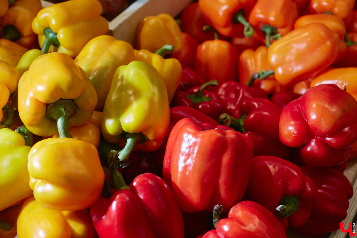 Кто-то ЗОЖ высмеивает, как группа «Ленинград», кто-то считает его ерундой и историей про отварную грудку. Но для некоторых правильное питание не тюрьма строгого режима, а яркий мир вкуса и разнообразия. Сидеть на ПП без чувства голода и с чистой совестью реально? Об этом мы поговорили с нутрициологом Надеждой Тихомировой, прогуливаясь по местному супермаркету.