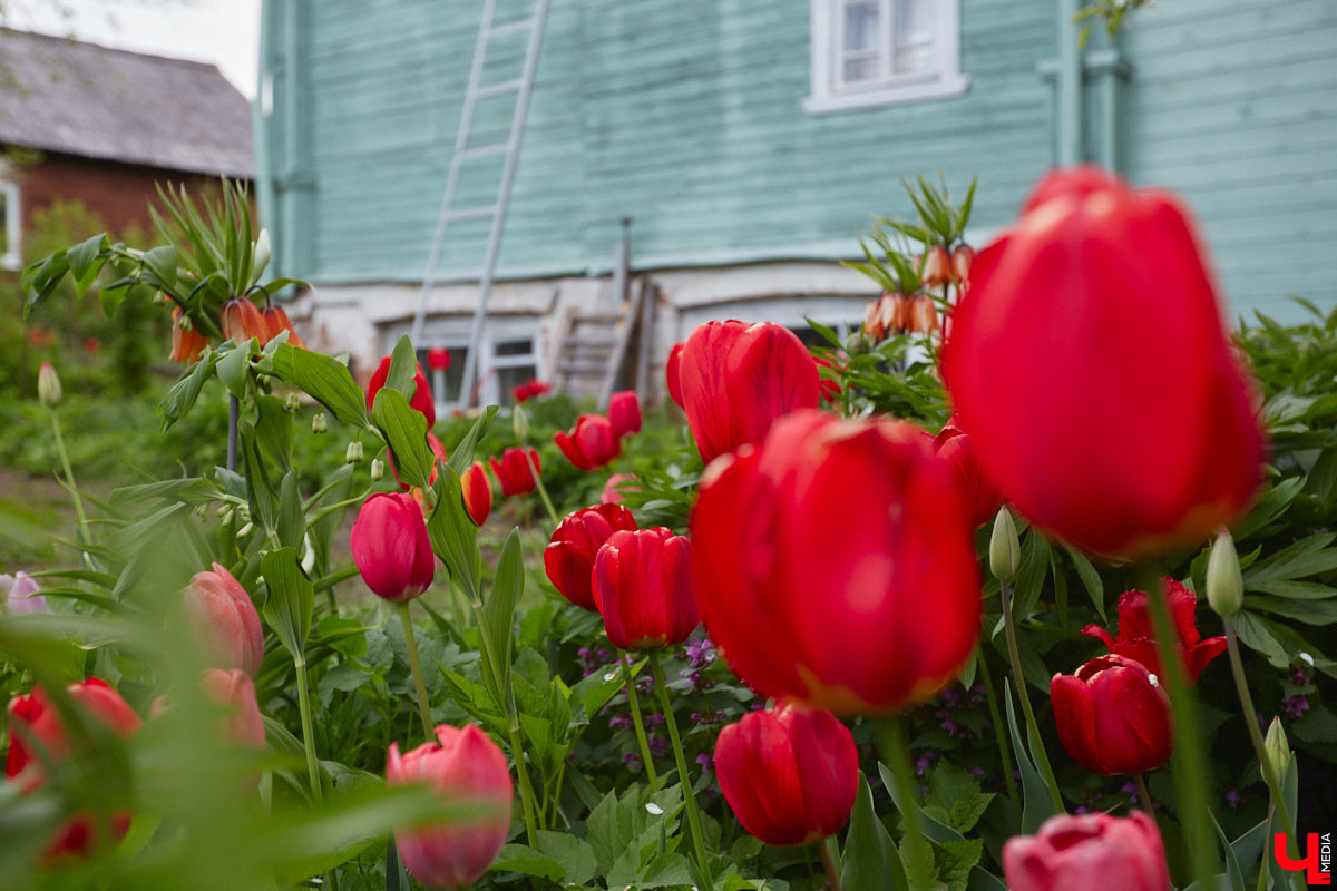 Никакого сайдинга поверх вековых бревен и никакой сдачи в утиль бабушкиной утвари. Превращать пятистенок с дощатой террасой на Пушкарской в собственную крепость художница Елена Сахарова начала постепенно. Комнаты с годами превращались в галерею работ самой Елены, ее друзей, а позднее и дочери. Дом хранит немало интересных коллекций, но все главные чудеса происходят в подвале, где рождаются яркие, сияющие картины, волшебный сплав хрупкого стекла и прочного металла.