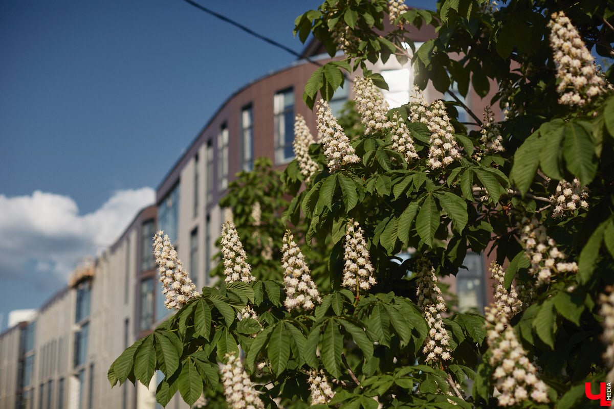 Дождались! К нам почти пришло лето. Каким будет его первый месяц? Стоит ли ждать жары в 33-м регионе, которой нас так пугали, прямо с первого июня? Ответы на эти вопросы ищите в прогнозе погоды.