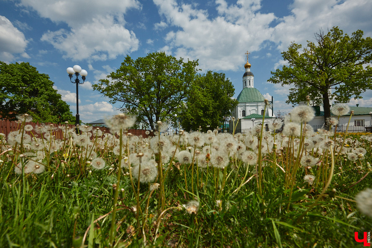 Дождались! К нам почти пришло лето. Каким будет его первый месяц? Стоит ли ждать жары в 33-м регионе, которой нас так пугали, прямо с первого июня? Ответы на эти вопросы ищите в прогнозе погоды.