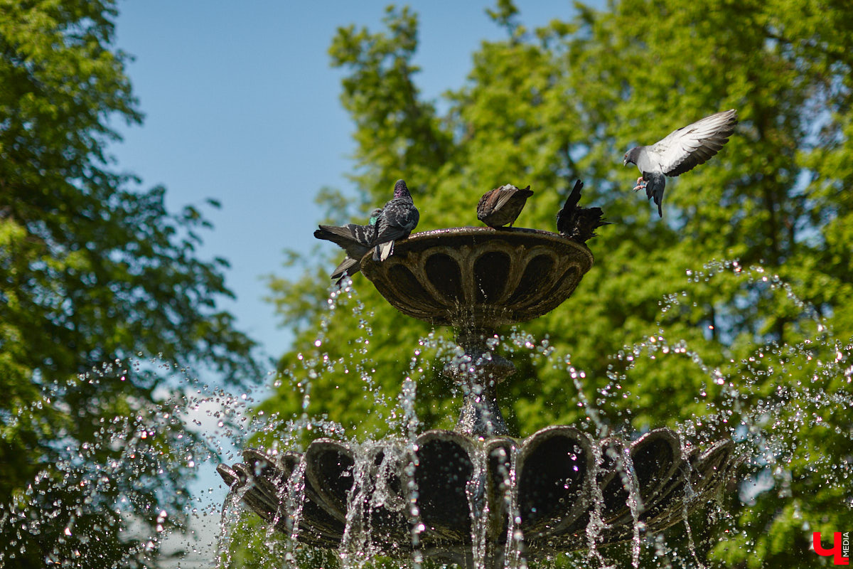 На календаре первый день лета. И пусть жары пока нет, водные феерии уже притягивают к себе жителей и гостей Владимира. «Ключ-Медиа» проверил состояние тех, что расположены недалеко от центра города.