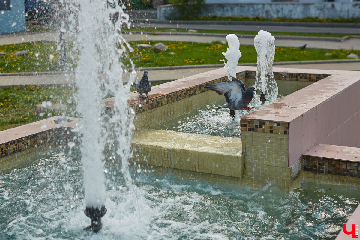На календаре первый день лета. И пусть жары пока нет, водные феерии уже притягивают к себе жителей и гостей Владимира. «Ключ-Медиа» проверил состояние тех, что расположены недалеко от центра города.