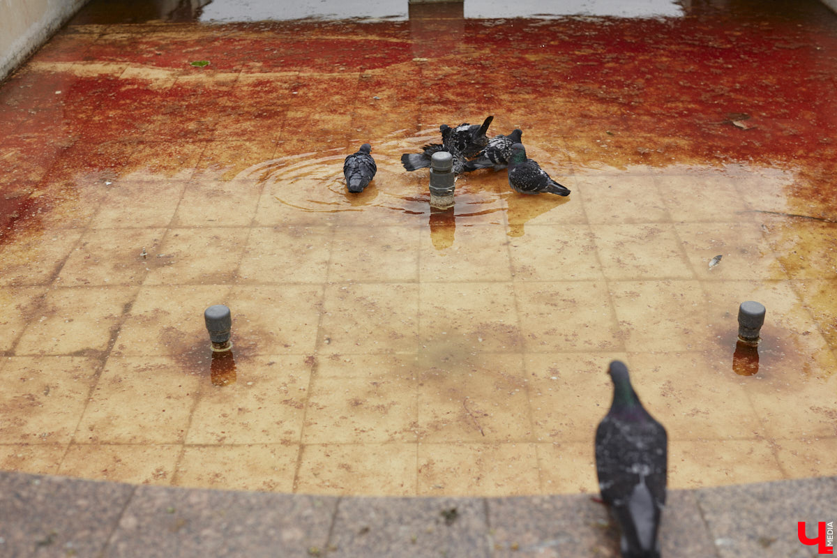 На календаре первый день лета. И пусть жары пока нет, водные феерии уже притягивают к себе жителей и гостей Владимира. «Ключ-Медиа» проверил состояние тех, что расположены недалеко от центра города.