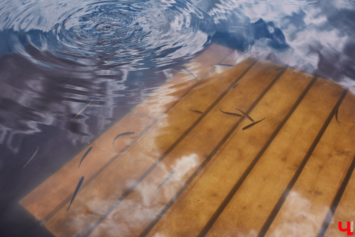 В Суздаль стоит отправиться не только ради архитектурного ансамбля, удачно вписавшегося в панораму города, и известных каждому туристу маршрутов. Он давно готов удивлять нетипичными видами отдыха. Среди прочих вариантов йога на sup-борде и даже игры в водное поло на досках. Мы оценили самые интересные развлечения и готовы вам о них рассказать.