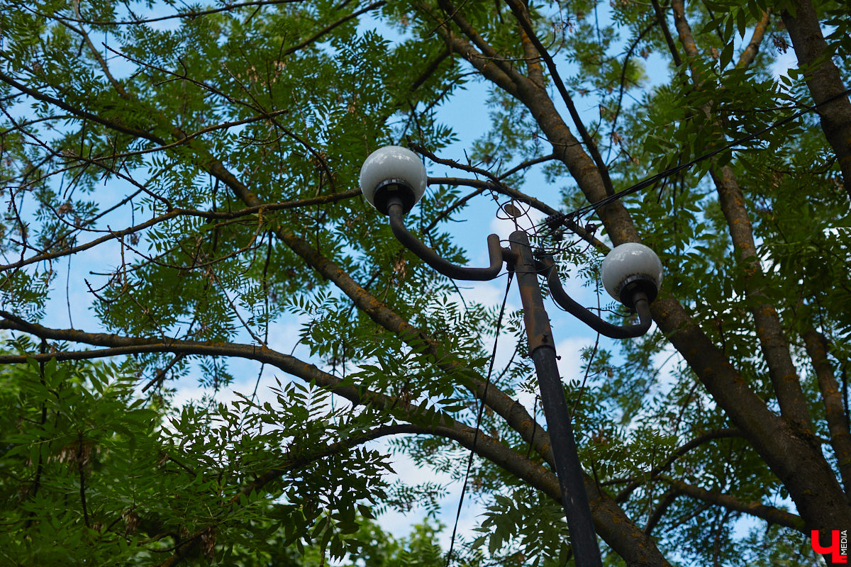 Вчера стало известно, какие общественные пространства в городе приведут в порядок следующим летом. Победителей в онлайн-голосовании за объекты для благоустройства, длившемся полтора месяца, оказалось два. «Ключ-Медиа» прогулялся по одному из мест для отдыха и оценил, так ли оно нуждается в переменах.