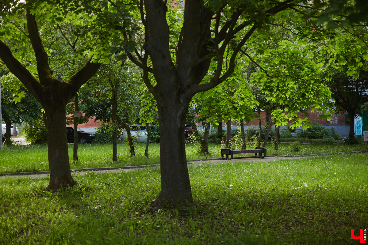 Вчера стало известно, какие общественные пространства в городе приведут в порядок следующим летом. Победителей в онлайн-голосовании за объекты для благоустройства, длившемся полтора месяца, оказалось два. «Ключ-Медиа» прогулялся по одному из мест для отдыха и оценил, так ли оно нуждается в переменах.